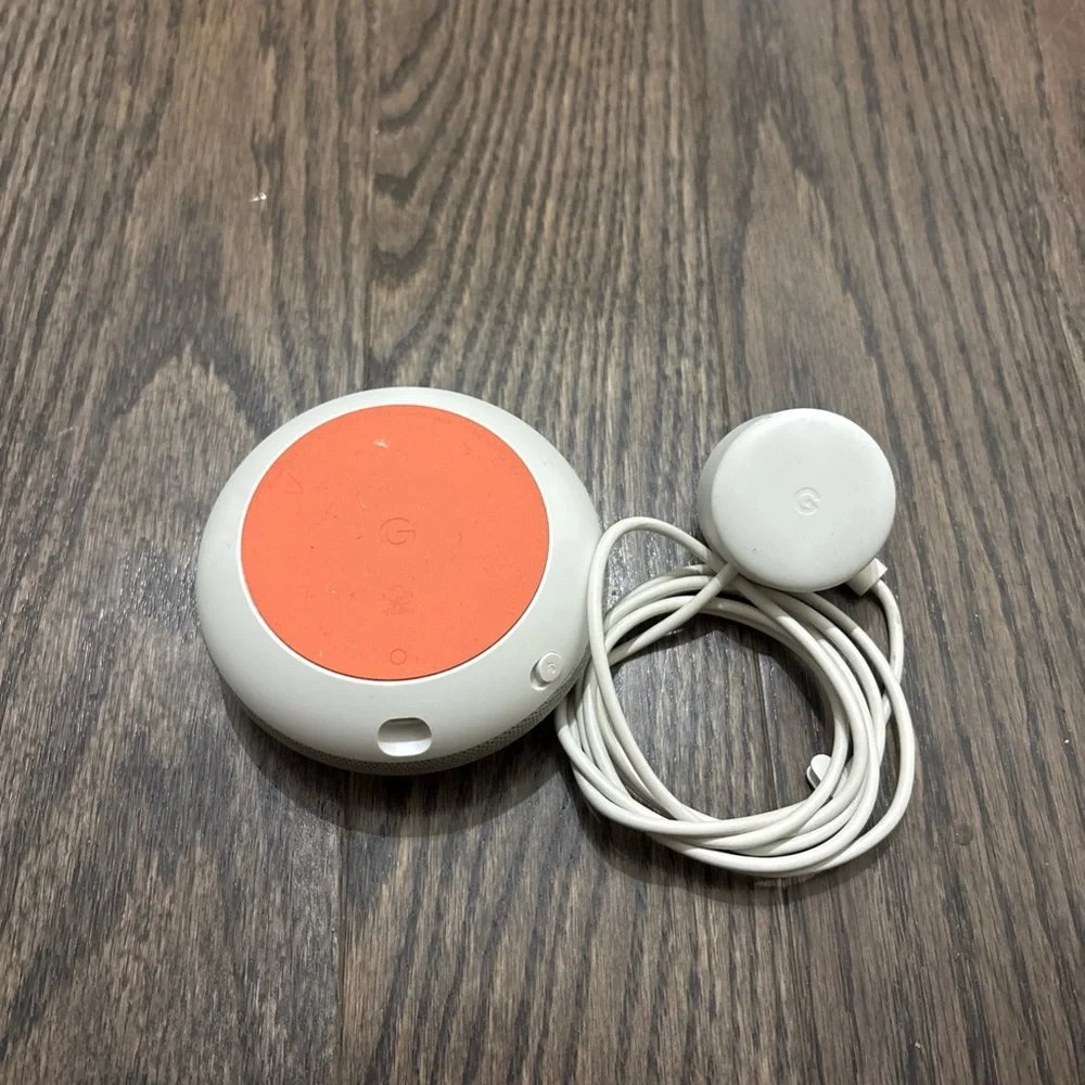 Google Nest Mini in Light Gray with Charger